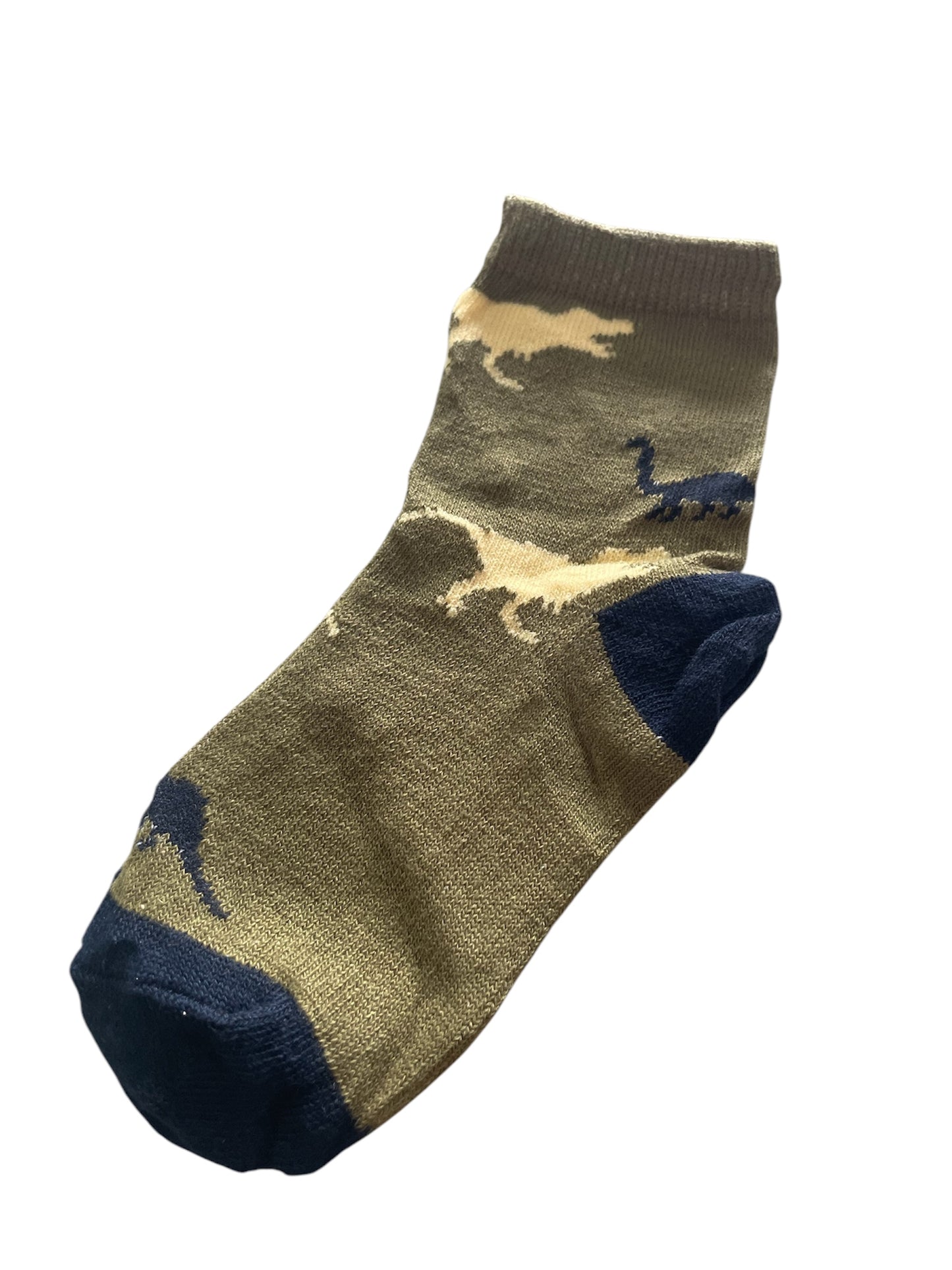 Boys dinosaur socks