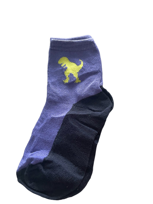 Boy Dinosaur socks