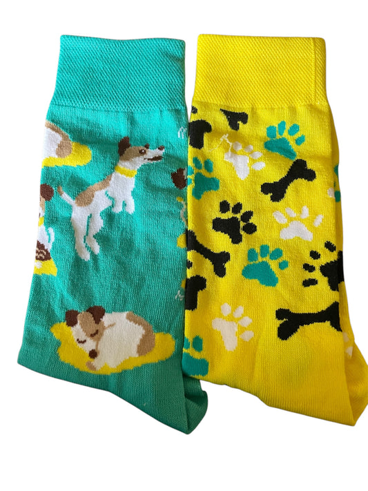 Odd pair of dog socks