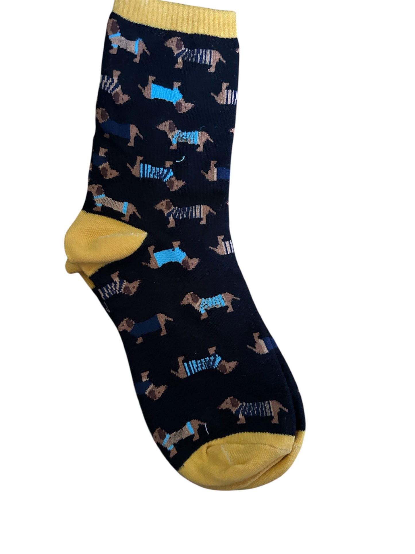 Dachshund socks